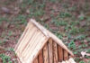 #empowerme; #reflections; "Sometimes a Birdhouse Isn't Just a Birdhouse" by Anna Kelly-Leary